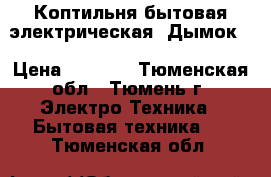 Коптильня бытовая электрическая “Дымок“ › Цена ­ 4 000 - Тюменская обл., Тюмень г. Электро-Техника » Бытовая техника   . Тюменская обл.